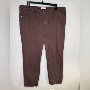 ABERCROMBIE and FITCH Jeans Womens 35/20R Zip 90s Straight Brown 5 Pocket Plus